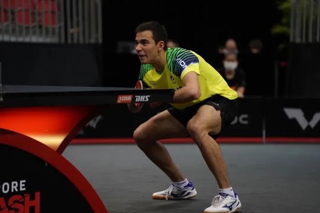 仅显示了中 仅显示了中